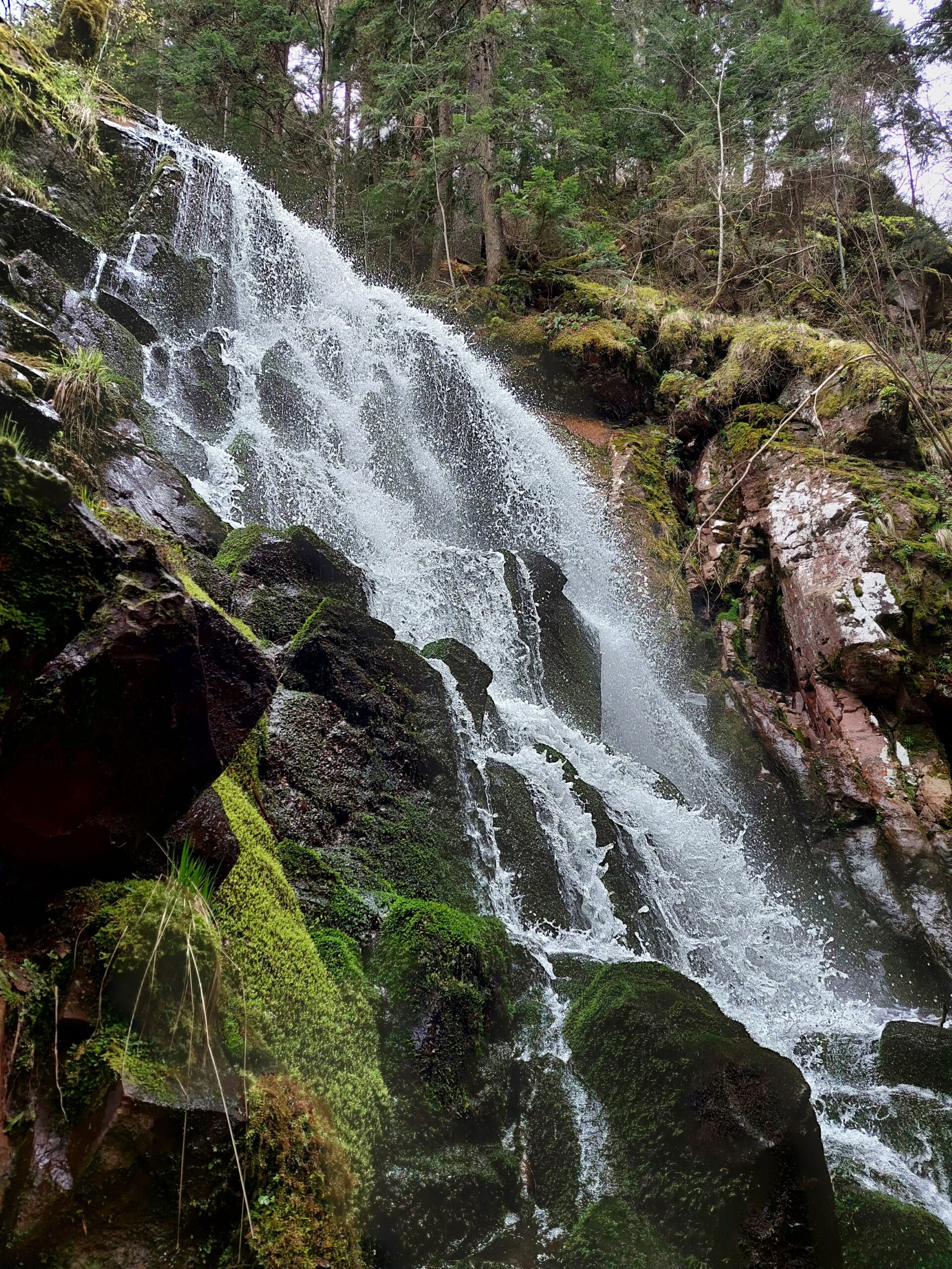 4. Stara planina, Vurnja